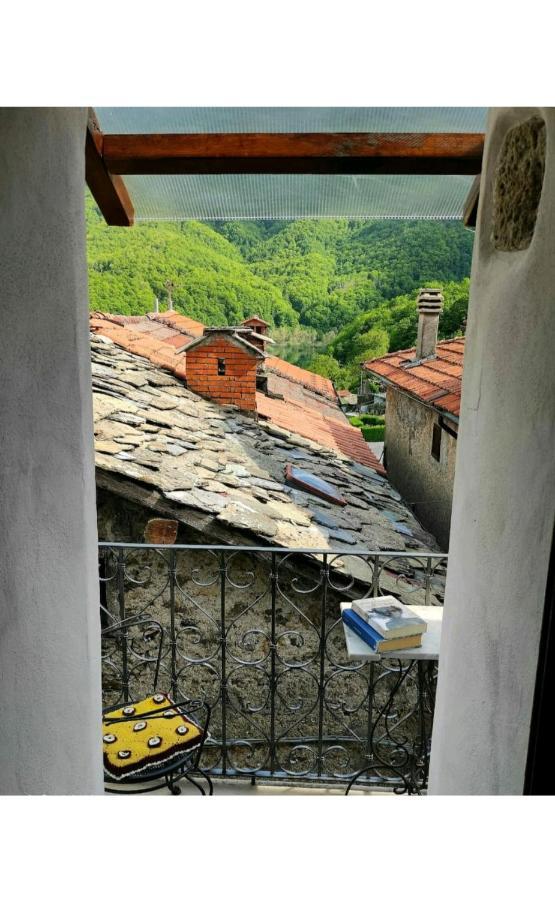 Casa Vacanze Al Colletto - Con Terrazza Panoramica In Centro Storico Villa Vagli di Sotto Bagian luar foto